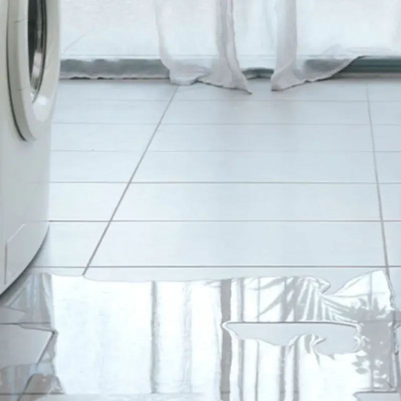 Appliance Leak Cleanup in Krugerville, TX