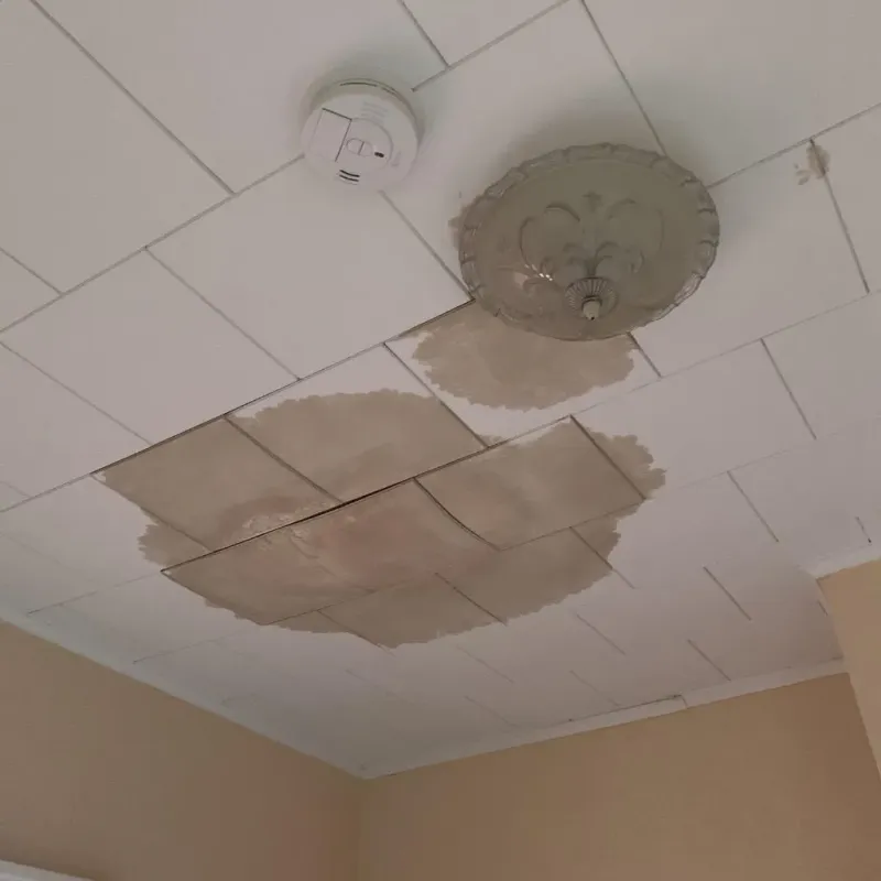 Ceiling Water Damage Repair in Krugerville, TX