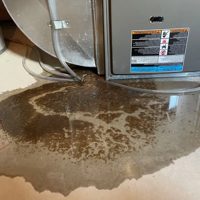Pipe Burst and Leak Restoration in Krugerville, TX