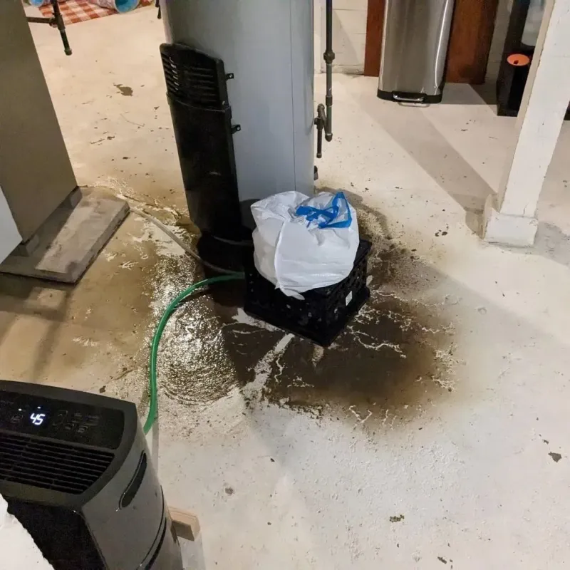 Sewage Backup Cleanup Service in Krugerville, TX